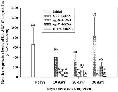 Assessment of the Effects of Double-Stranded RNAs Corresponding to Multiple Vitellogenesis-Inhibiting Hormone Subtype I Peptides in Subadult Female Whiteleg Shrimp, Litopenaeus vannamei